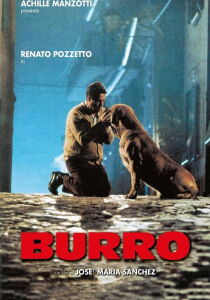 Burro streaming