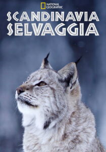 Scandinavia selvaggia streaming