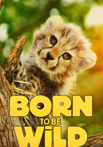 Born to be Wild [Sub-ITA] streaming