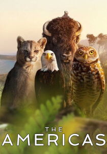 The Americas streaming