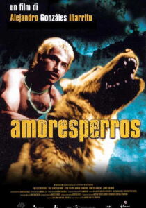 Amores Perros streaming