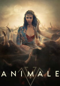Animale streaming