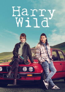 Harry Wild - La signora del delitto streaming